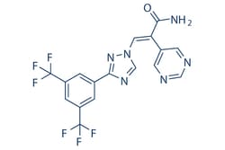 Selleck Chemical LLC Eltanexor (KPT-8602) 2mg 1642300-52-4 ONO-7706ATG-016,