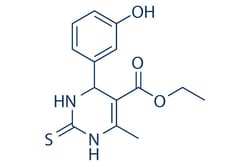 Selleck Chemical LLC Monastrol 10mg 329689-23-8, Quantity: Each of 1
