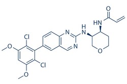 Selleck Chemical LLC Fisogatinib (BLU-554) 2mg 1707289-21-1, Quantity:
