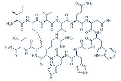 Selleck Chemical LLC Compstatin 2mg 206645-99-0, Quantity: Each of 1