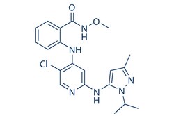 Selleck Chemical LLC GSK2256098 5mg 1224887-10-8 GTPL7939, Quantity: Each
