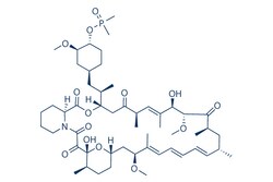 Selleck Chemical LLC&nbsp;Ridaforolimus (Deforolimus, MK-8669) 10mM/1mL 572924-54-0 AP23573