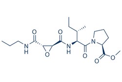 Selleck Chemical LLC CA-074 methyl ester (CA-074 Me) 5mg 147859-80-1 Cathepsin