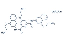 Selleck Chemical LLC Pyridostatin Trifluoroacetate Salt 5mg 1472611-44-1,