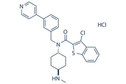 Selleck Chemical LLC Smoothened Agonist (SAG) HCl 5mg 2095432-58-7, Quantity: