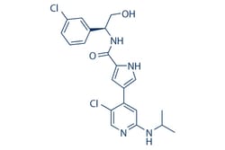 Selleck Chemical LLC Ulixertinib (BVD-523) 5mg 869886-67-9 VRT752271, Quantity: