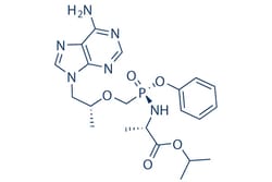 Selleck Chemical LLC Tenofovir Alafenamide (GS-7340) 5mg 379270-37-8, Quantity: