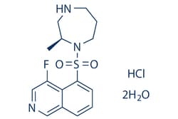 Selleck Chemical LLC Ripasudil (K-115) hydrochloride dihydrate 5mg 887375-67-9,