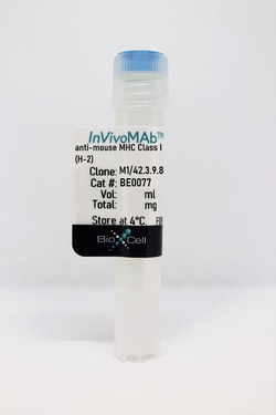 Bio X Cell InVivoMab anti-mouse MHC Class I (H-2), Clone: M1/42.3.9.8,