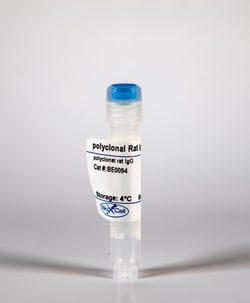 Bio X Cell InVivoMAb Polyclonal Rat IgG, Protein G Purified, ≥95% Purity,
