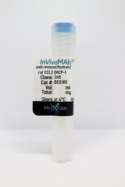 Bio X Cell InVivoMab anti-human/mouse, rat CCL2 (MCP-1), Clone: 2H5, Size:
