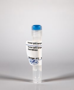 Bio X Cell InVivoMAb human IgG2 isotype control, Clone: n/a, Size: 25 MG,