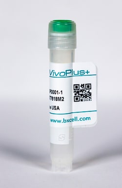 Bio X Cell InVivoPlus anti-mouse CD3ε, Clone: 145-2C11, Size: 5 MG, Quantity: