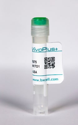 Bio X Cell Antibody, anti-mouse Ly6G/Ly6C (Gr-1), Rat, Monoclonal, RB6-8C5,