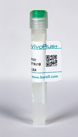 Bio X Cell InVivoPlus anti-mouse PD-L1 (B7-H1), Clone: 10F.9G2, Size: 5