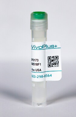 Bio X Cell Antibody, Mouse/Rat IL-17A, Clone 17F3, 5 MG, Quantity: Each
