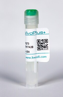 Bio X Cell InVivoPlus anti-mouse PD-1 Clone 29F.1A12, 25 MG, Quantity: