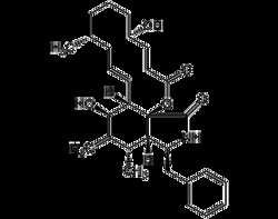 AdipoGen Cytochalasin B (1 mg), Quantity: Each of 1