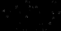 AdipoGen&nbsp;Ac-Arg-Leu-Arg-AMC (5 mg)