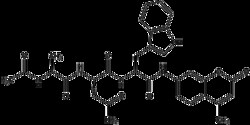AdipoGen&nbsp;Ac-Ala-Asn-Trp-AMC [Ac-ANW-AMC], 2 mg