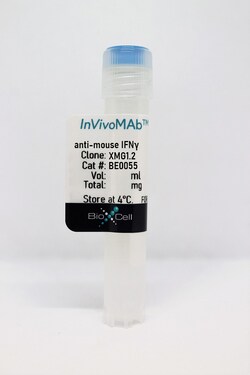 Bio X Cell InVivoMab anti-mouse IFNγ, Clone: XMG1.2, Size: 1 mg, Quantity: