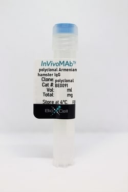 Bio X Cell Armenian Hamster IgG, 95 Percent, 1 MG, Quantity: Each of 1