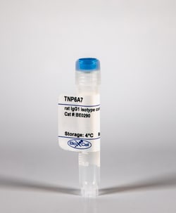 Bio X Cell Isotype Control, Rat IgG1, Anti-Trinitrophenol, 1 MG | Buy Online | Bio X Cell | Fisher Scientific