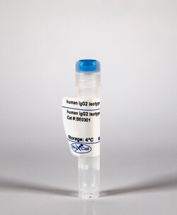 Bio X Cell Isotype Control, Human IgG2, Unconjugated, 1 MG, Quantity: Each