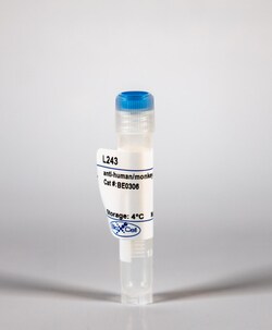 Bio X Cell InVivoMAb anti-human/monkey MHC class II (HLA-DR), Clone: L243,