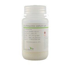 Gold Biotechnology Inc Cefotaxime (Sodium), USP Grade 25 g, Quantity: Each