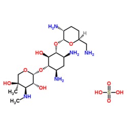 Gold Biotechnology Inc Gentamicin Sulfate, USP Grade 100 g, Quantity: Each