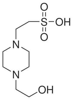 Gold Biotechnology Inc&nbsp;HEPES, Free Acid 1 kg