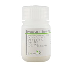 Gold Biotechnology Inc Lysozyme, Egg White 25 g