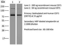 Bio X Cell InVivoMAb Anti-Human CD71, Clone OKT9, 5 MG, Quantity: Each