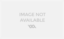 Accuflow Systems C-Flex 374 formulation tubing, 1000-foot full spool, ID