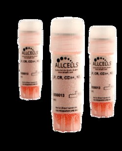 AllCells LLC Peripheral Blood, Cryopreserved, CD8+ Cytotoxic T Cells, Negatively