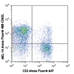 Biolegend Alexa Fluor 488 anti-mouse CD62L, Quantity: Each of 1