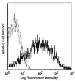 Biolegend PE anti-mouse CD86, Quantity: Each of 1