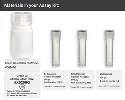 Montana Molecular Green Gi cADDis cAMP Sensor Kit X0200G, 60mL, CMV, Quantity: