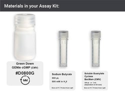 Montana Molecular Green Downward GENIe cGMP Sensor Kit D0800G, 10mL, CMV,