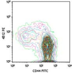 Biolegend PE anti-mouse CD197 (CCR7), Quantity: Each of 1
