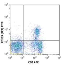 Biolegend FITC anti-mouse CD103 [2E7]; Isotype: Armenian Hamster IgG; Reactivity: