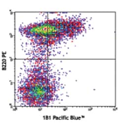 Biolegend Pacific Blue anti-mouse CD1d (CD1.1, Ly-38), Quantity: Each of