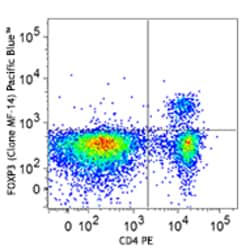 Biolegend Pacific Blue anti-mouse FOXP3, Quantity: Each of 1