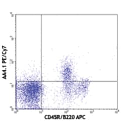Biolegend PE/Cyanine7 anti-mouse CD93 (AA4.1, early B lineage), Quantity: