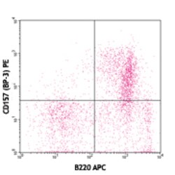 Biolegend PE anti-mouse CD157 (BST-1), Quantity: Each of 1
