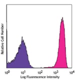 A&Yページ Acaige Interchange Part Number：1669054400, A1669054400
