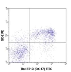 Biolegend PE anti-rat CD200 [OX-2]; Isotype: Mouse IgG1, ; Reactivity: