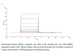 ACROBiosystems Recombinant Protein;Biotinylated Human Fc gamma RIIB / CD32b