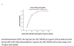 ACROBiosystems Recombinant Protein;Human SOST / Sclerostin Protein;HEK293;100UG;HST,SOST,VBCH,Sclerostin,